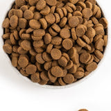 Acana Adult – Large Breed