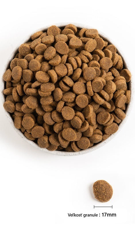 Acana Adult – Large Breed