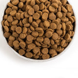 Acana Puppy – Large Breed