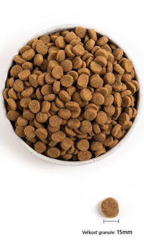 Acana Puppy – Large Breed