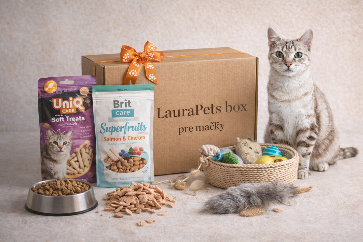 LauraPets box pre mačku